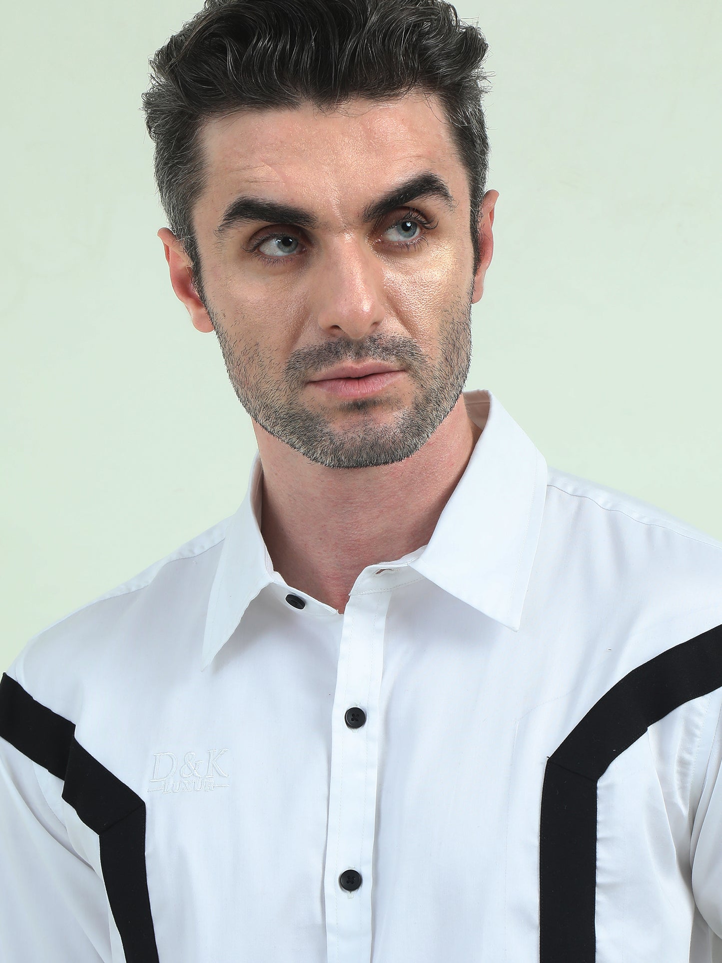 Double Stripes Formal Shirt – Sharp, Elegant & Office-Ready - D&K LUXUR